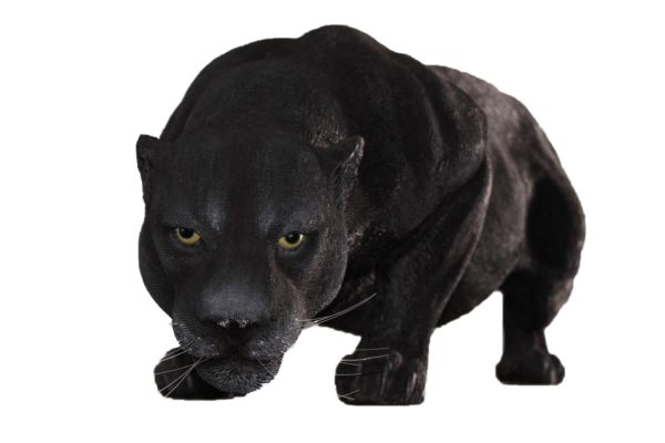 Figurine Black Panther Impression 3D – Résine 18cm – Non Peinte – Brute