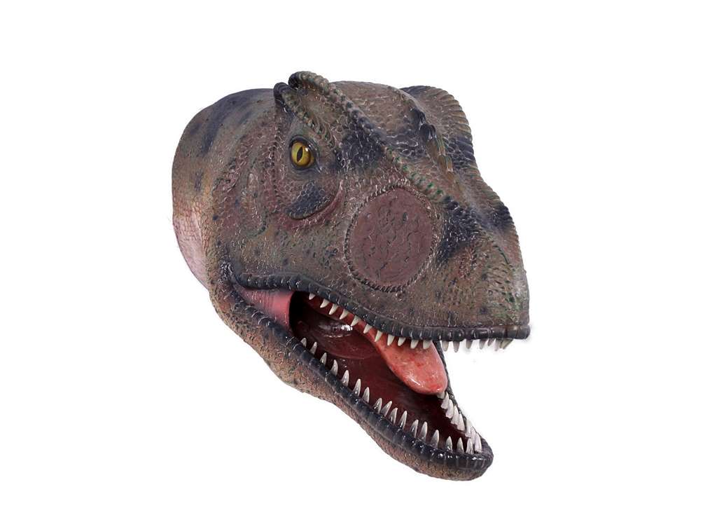 Allosaurus Head Mouth Open - Hamac Trading