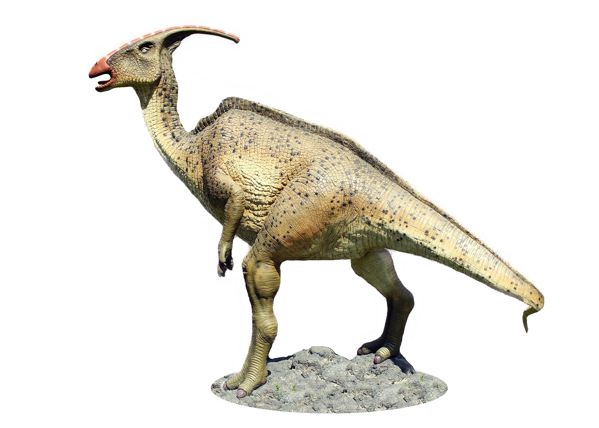 Parasaurolophus