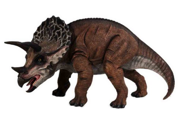 Definitive Triceratops
