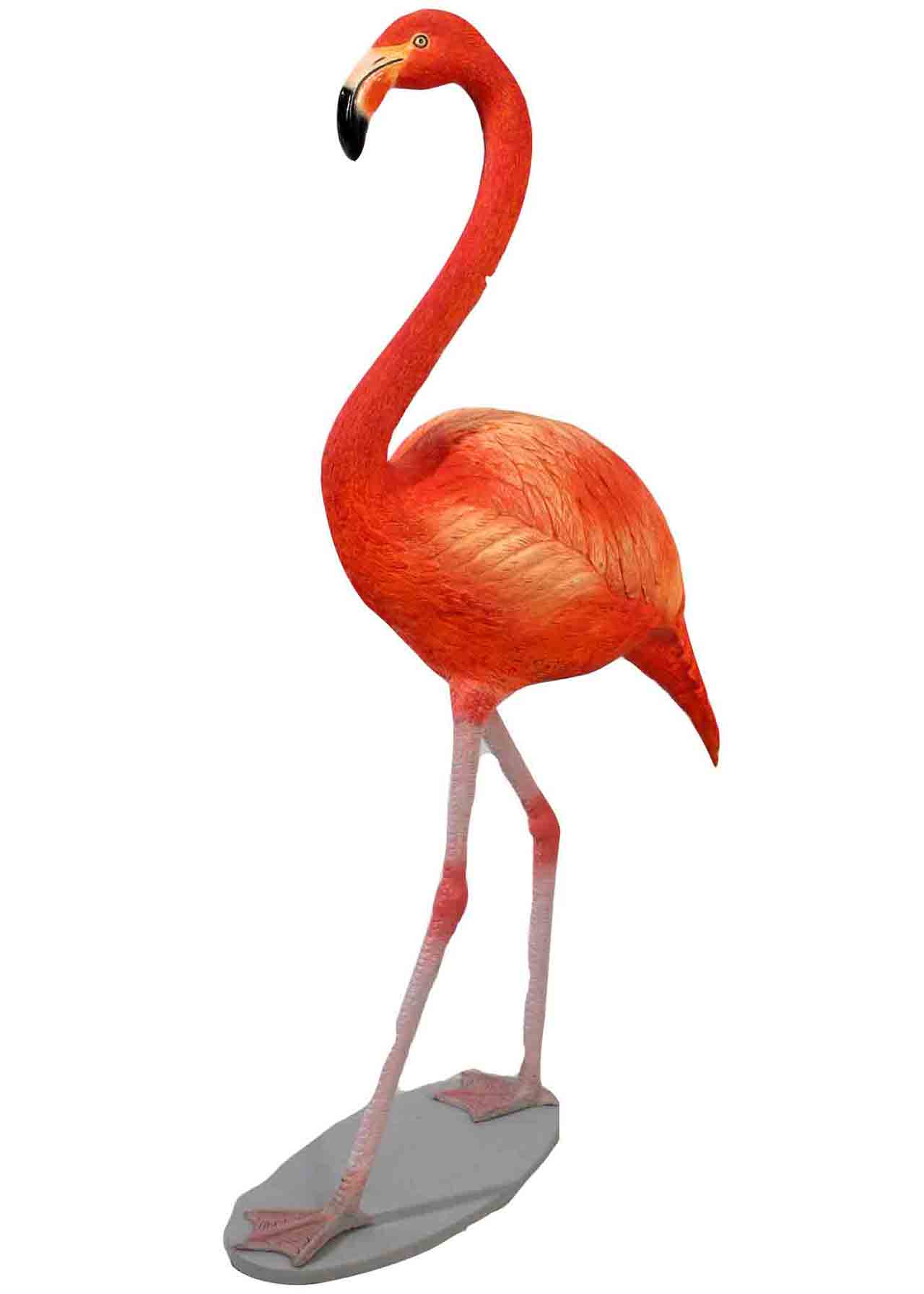 Flamingo (Orange)