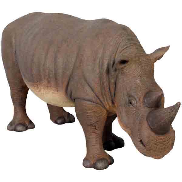 Small Rhinoceros