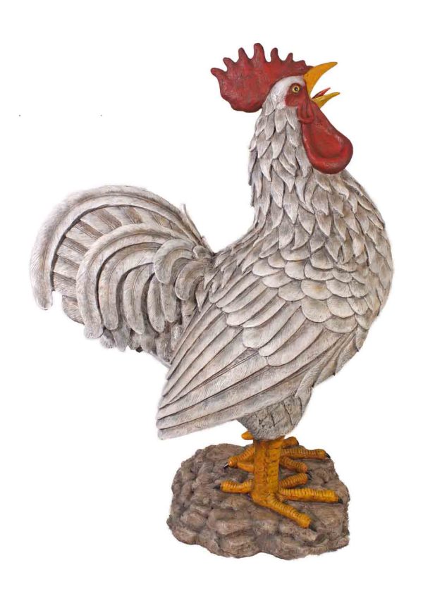 Colossal Barnyard Rooster