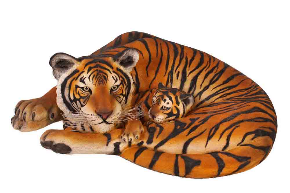 Tigress with Cub