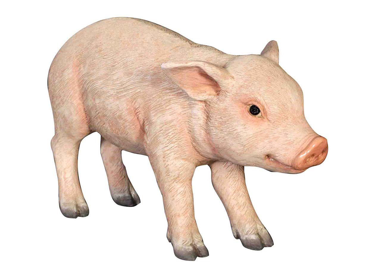 Standing Piglet