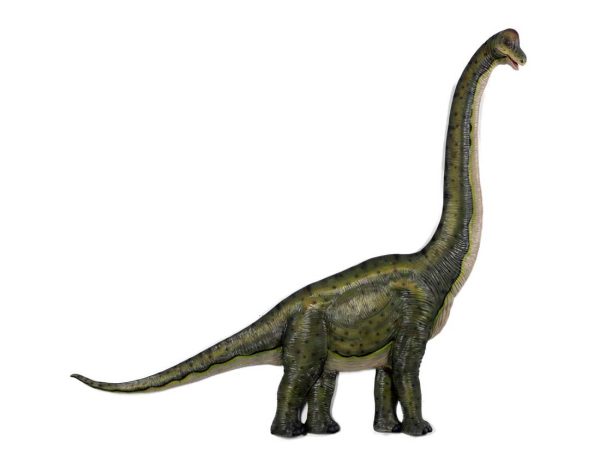 Brachiosaurus Wall-Mounted