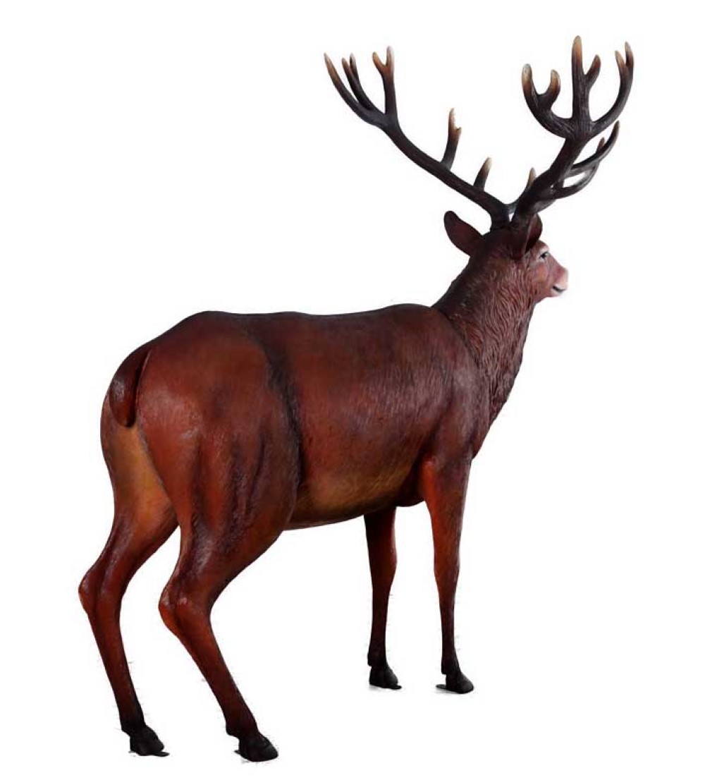 Rez140044 (9) Cutter Inpixio