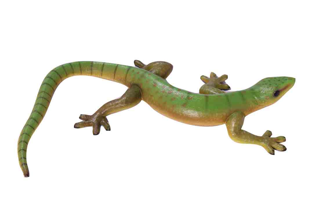 Large Gecko