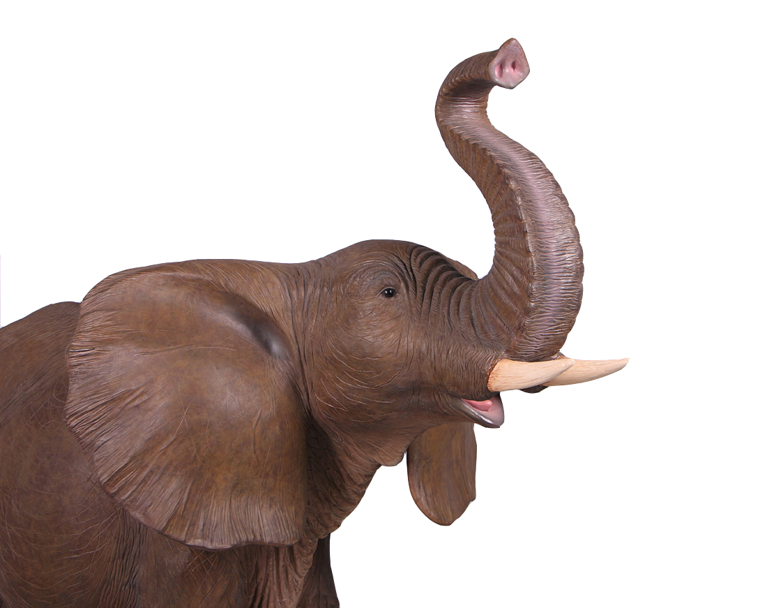 Life Size Fibreglass Resin Elephant Model - Hamac Trading