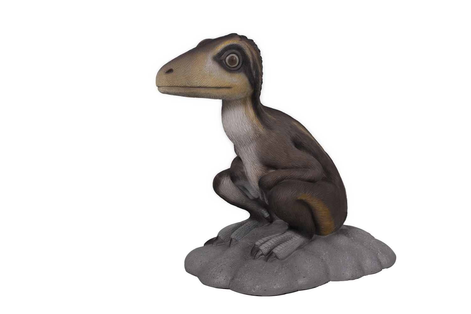 Sitting Juvenile Theropod
