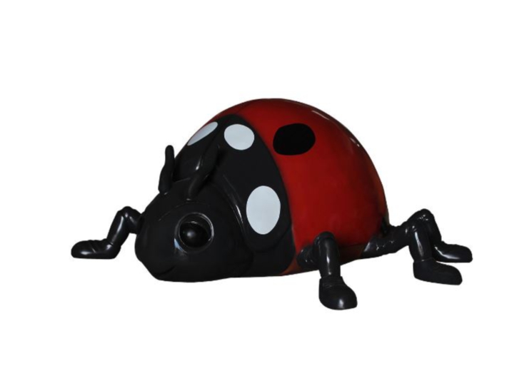 Lady Bug
