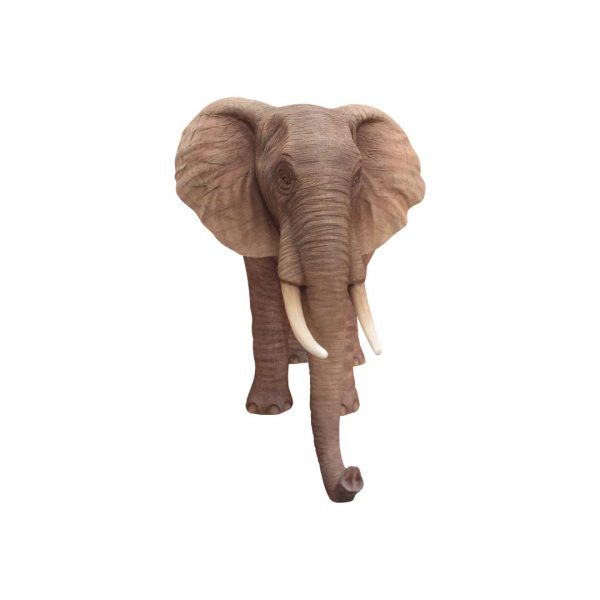 African Elephant