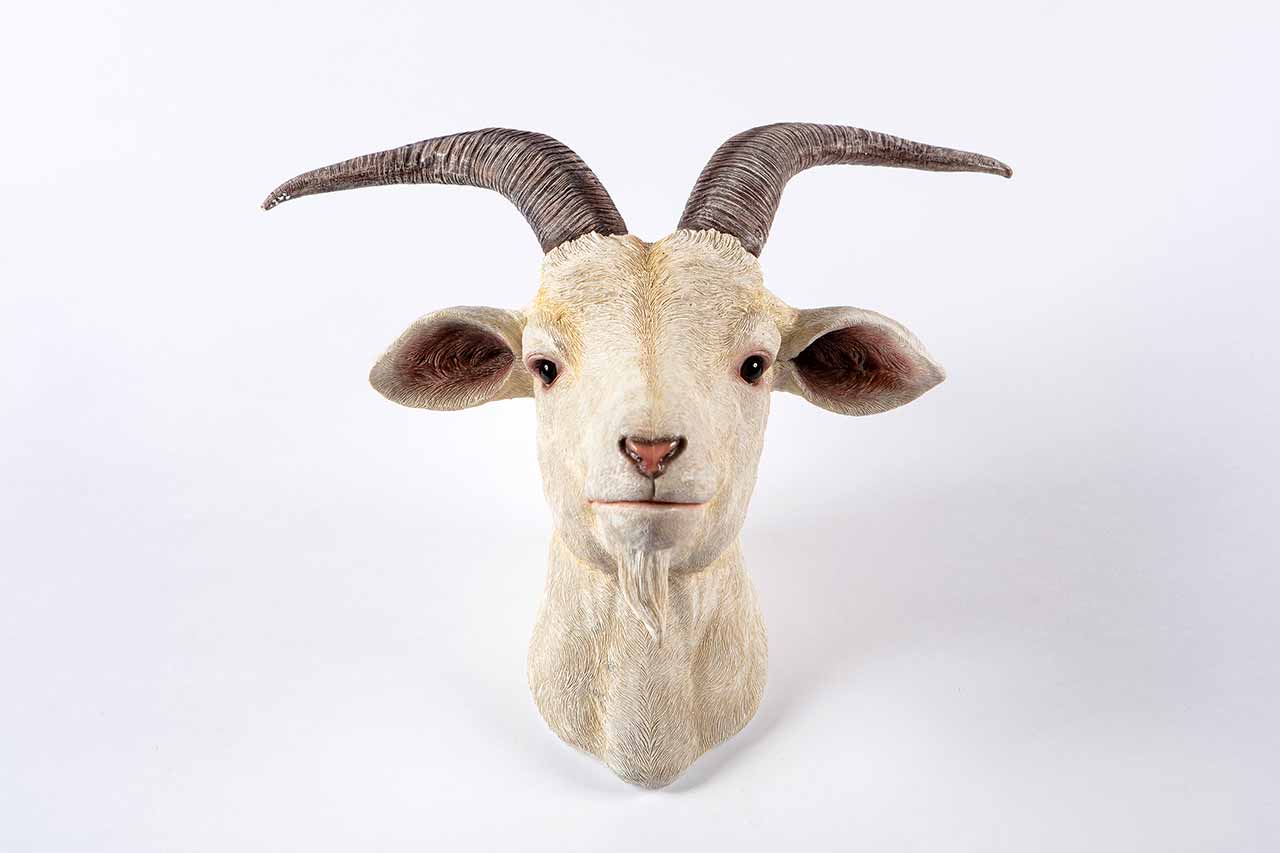 White Goat Head Wall Décor Hamac Trading