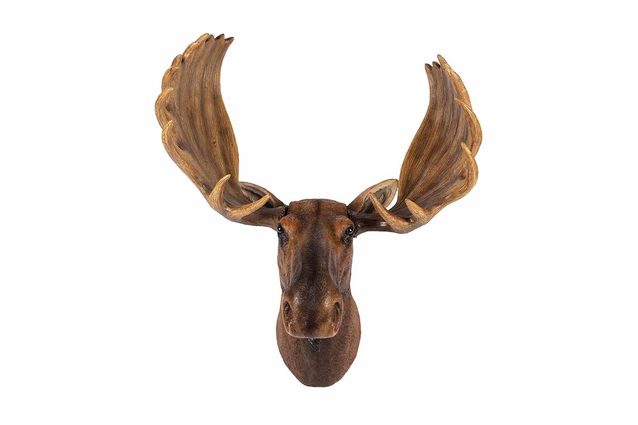 Moose Head Wall Décor Hamac Trading