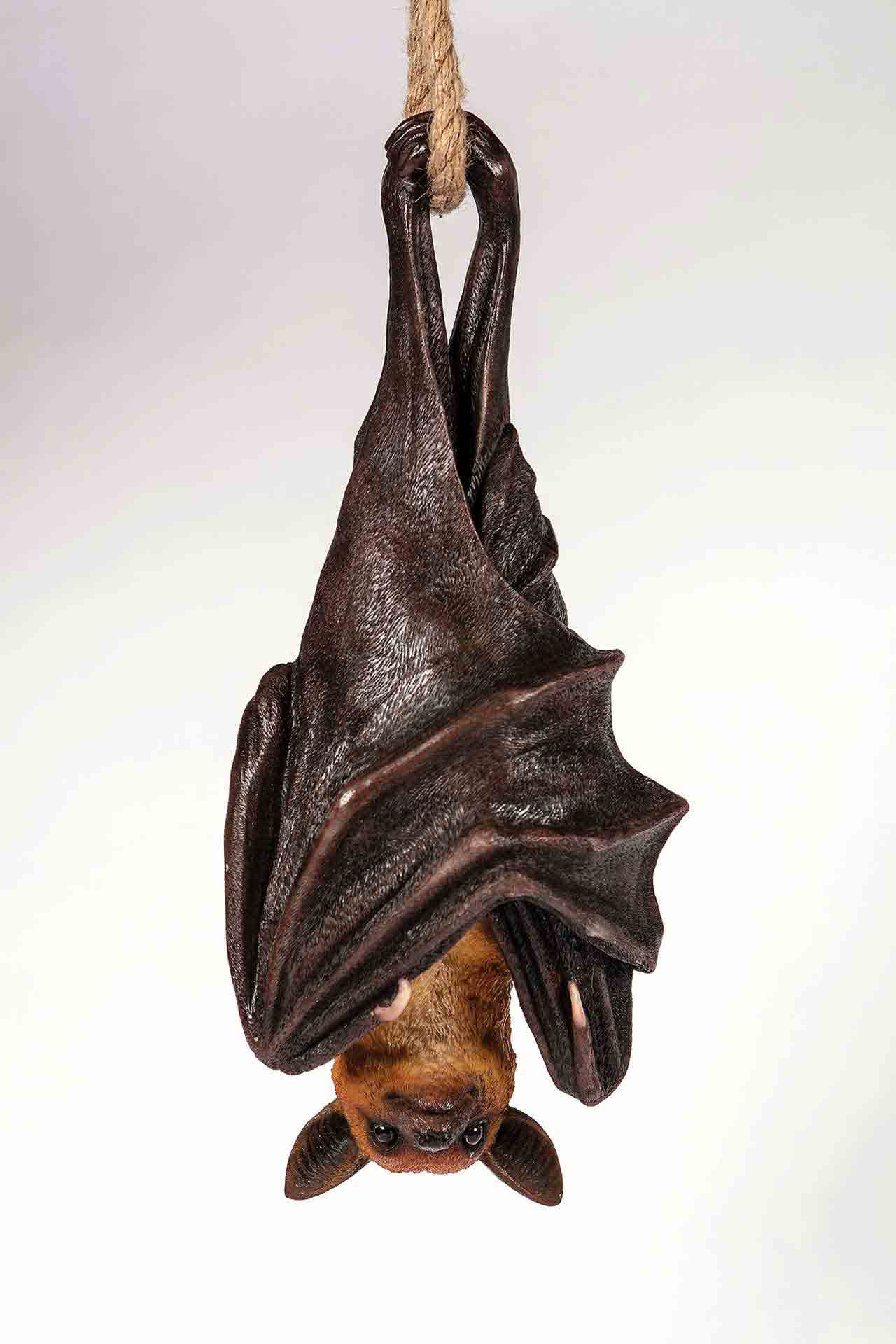 Hanging Bat Hamac Trading