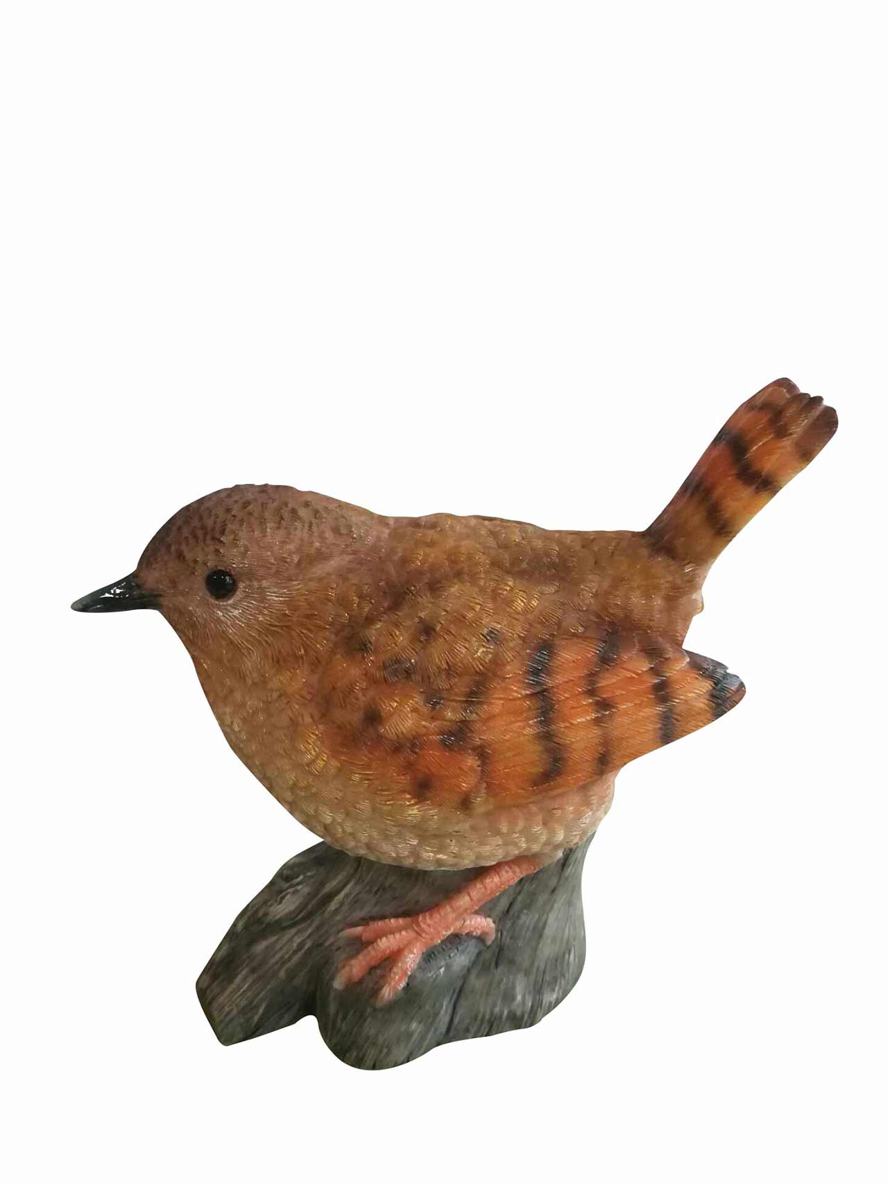 Perched Wren
