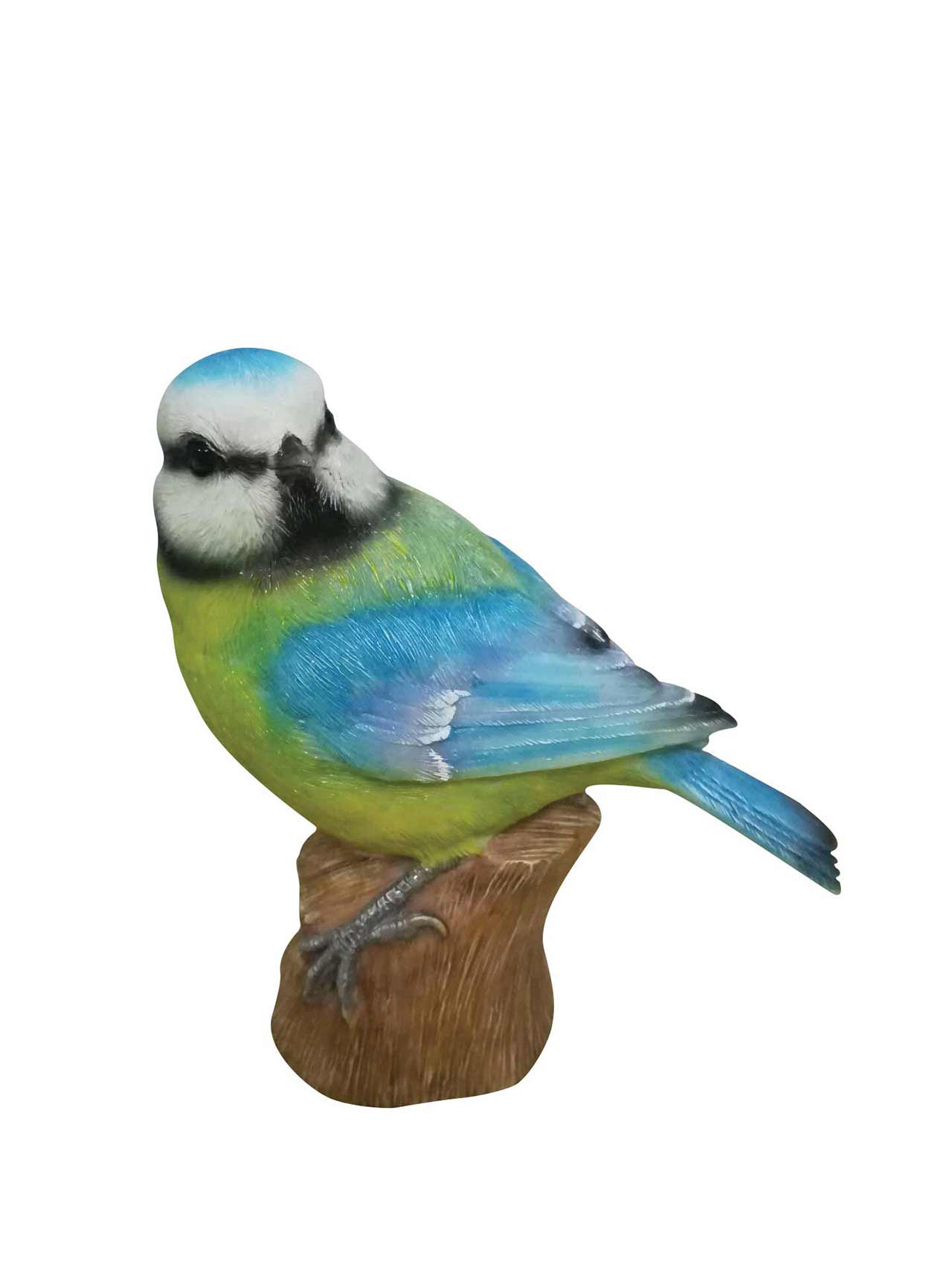 Perched Blue Tit