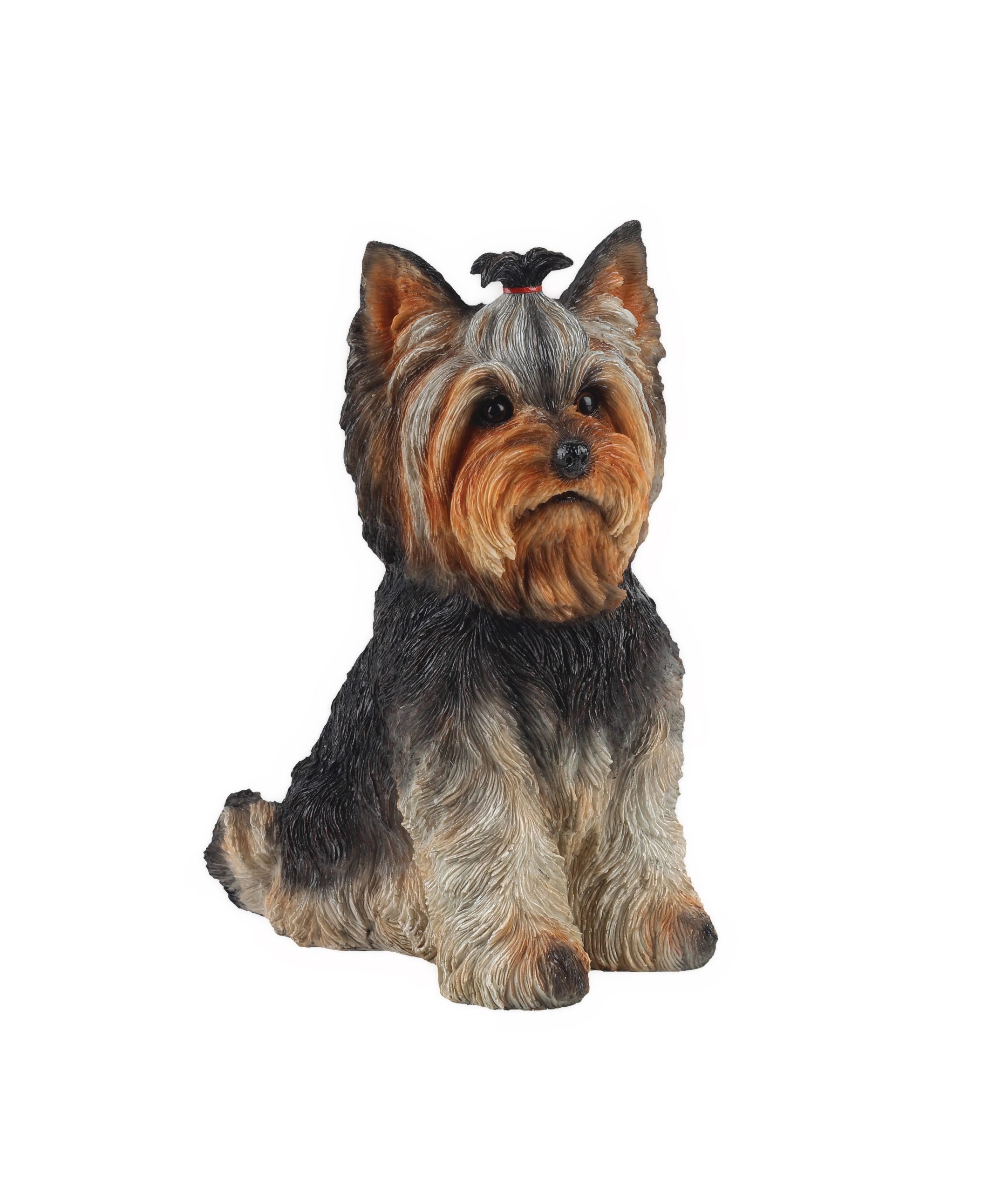 Sitting Yorkshire Terrier