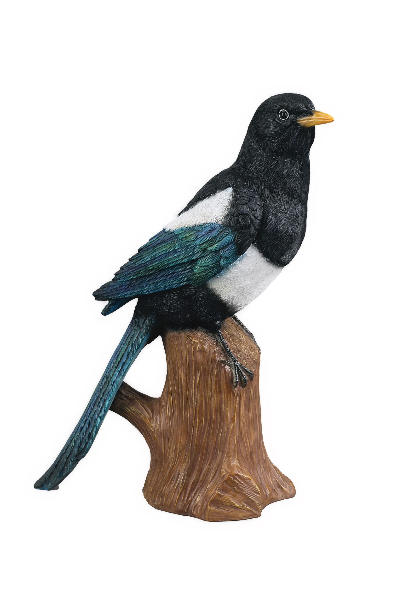 Perched Magpie