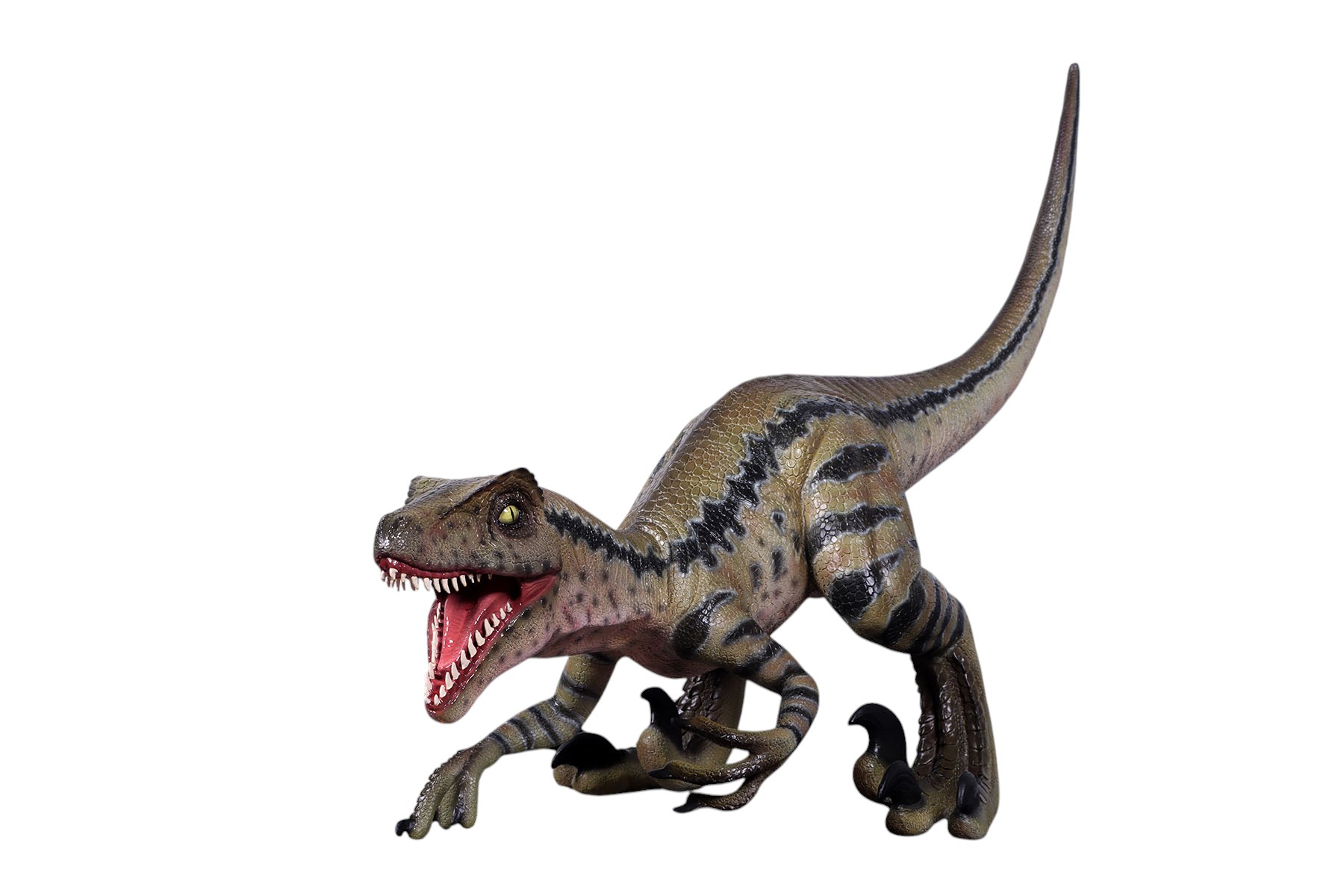 Velociraptor- Razor Beaks