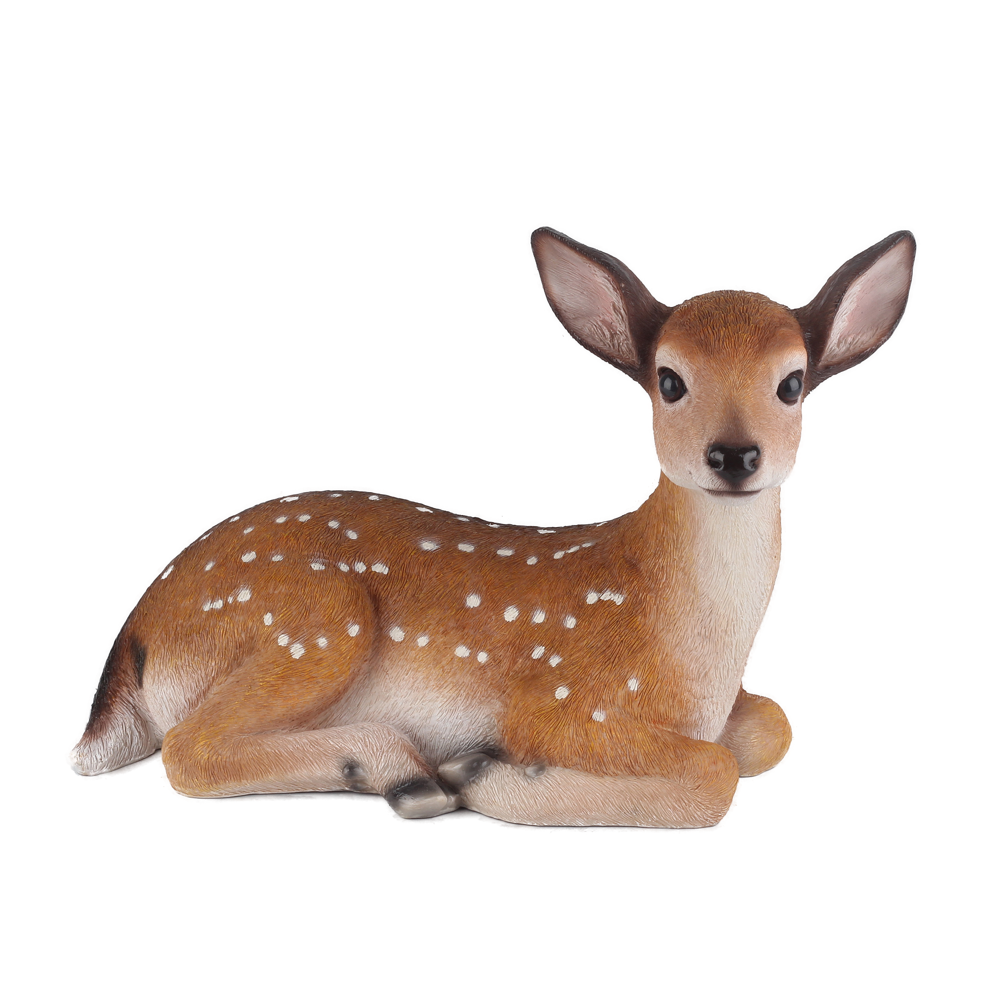 Laying Deer