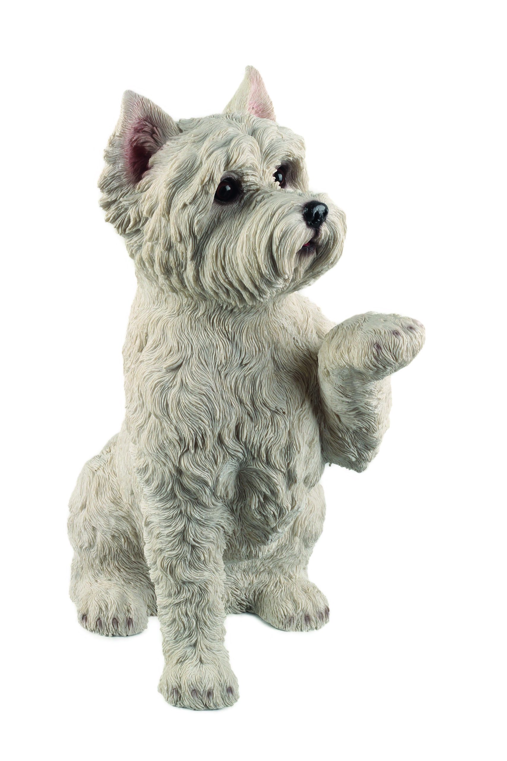 Westie Raising Paw
