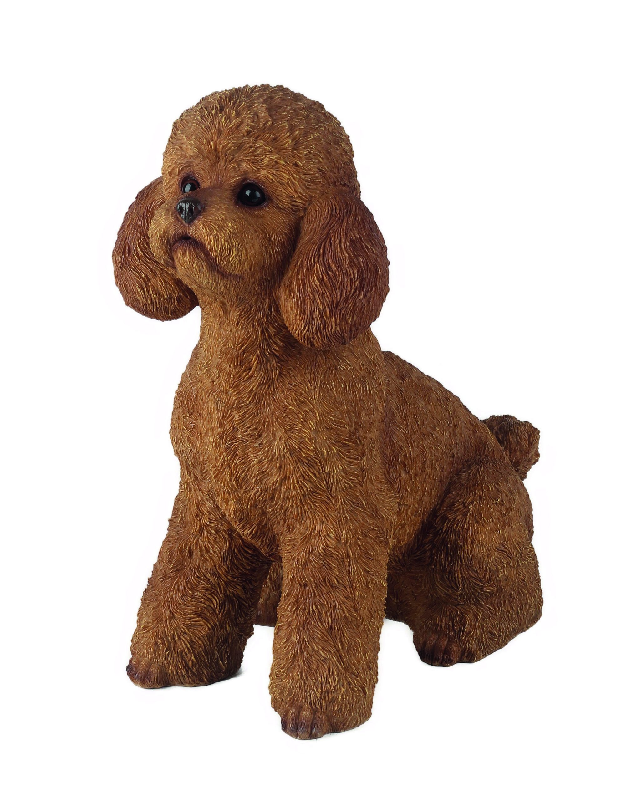 Sitting Poodle