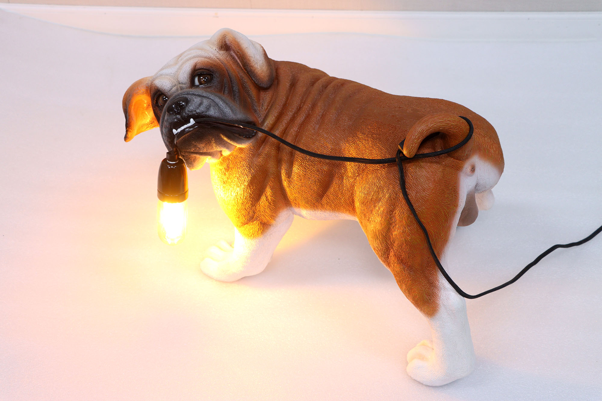 Bulldog Lumiere