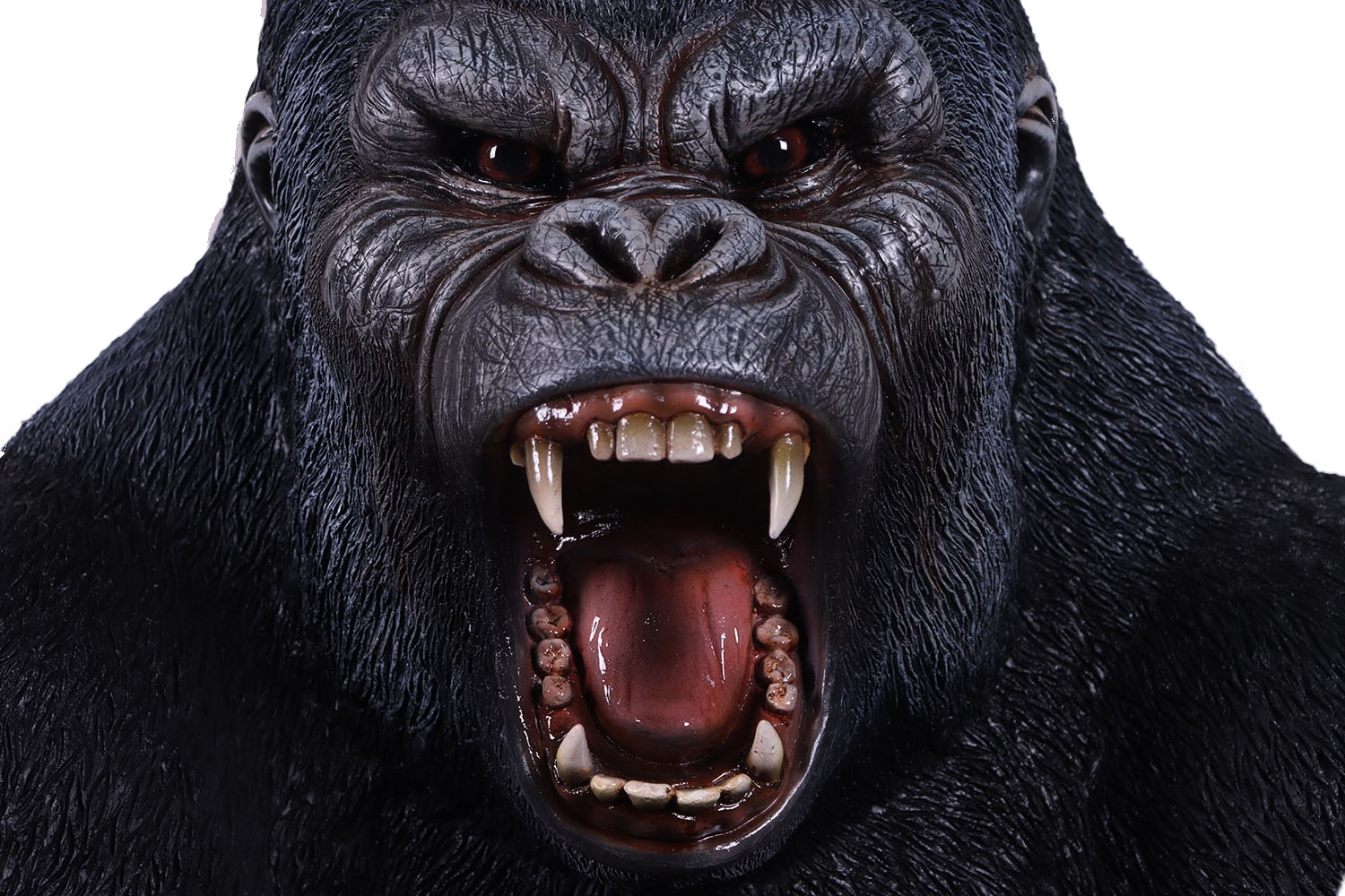 Rez240118 (7) Inpixio