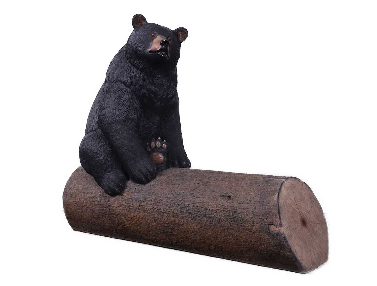 Bear on Tree Trunk