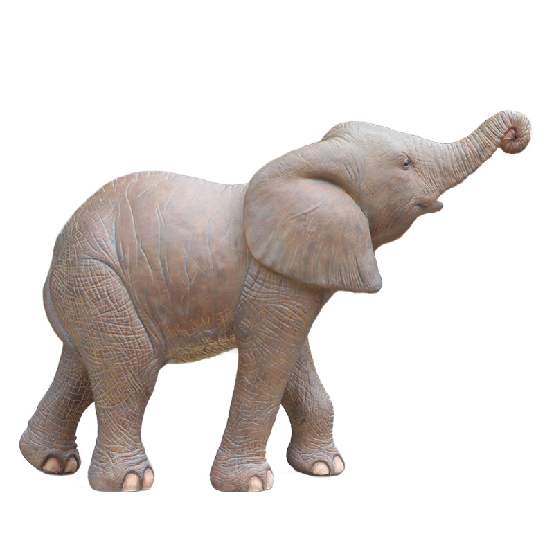 Elephant Calf