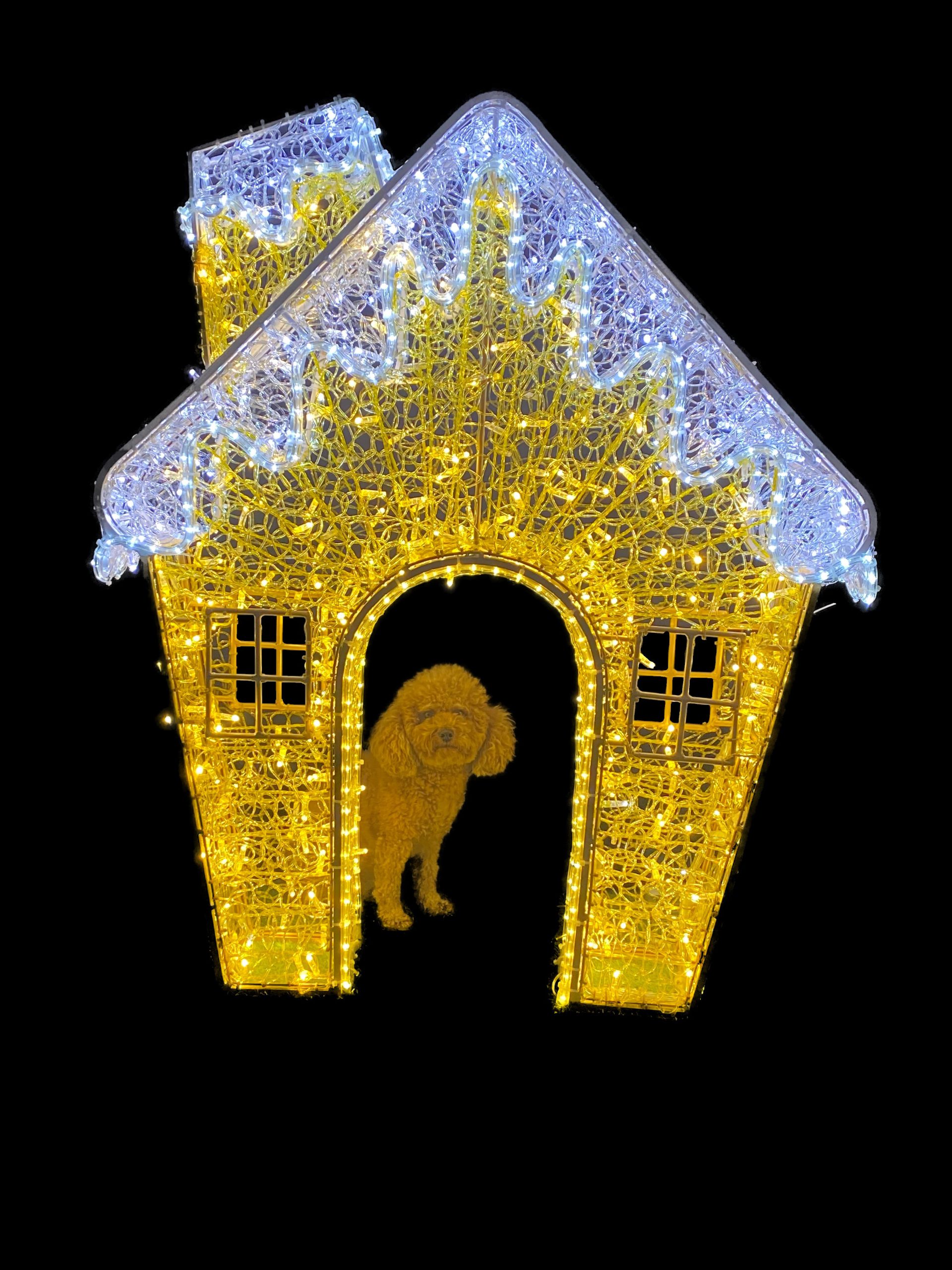 3D Small Snowhouse 1.2m