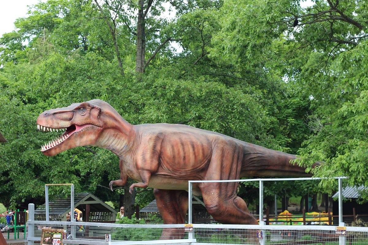 Animatronic T-Rex 10m