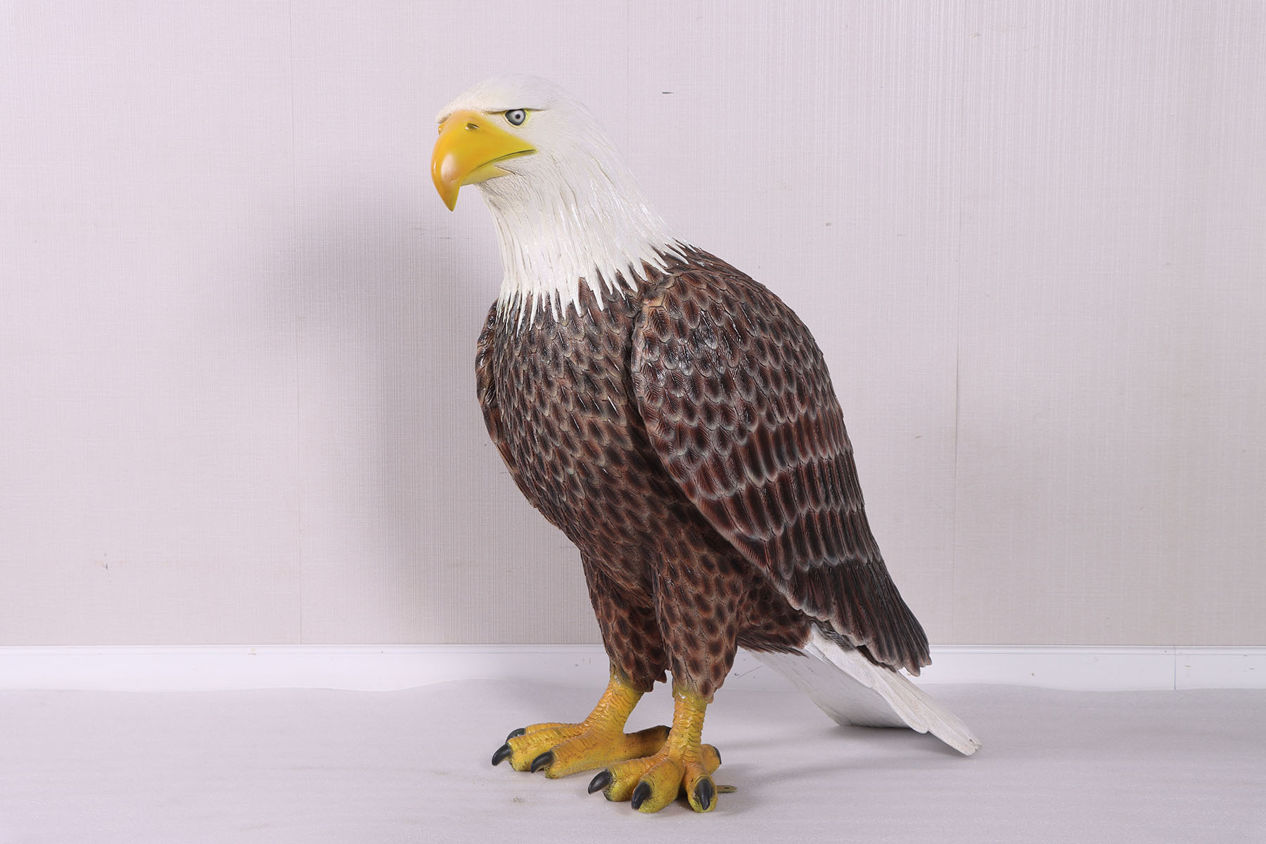 American Bald Eagle