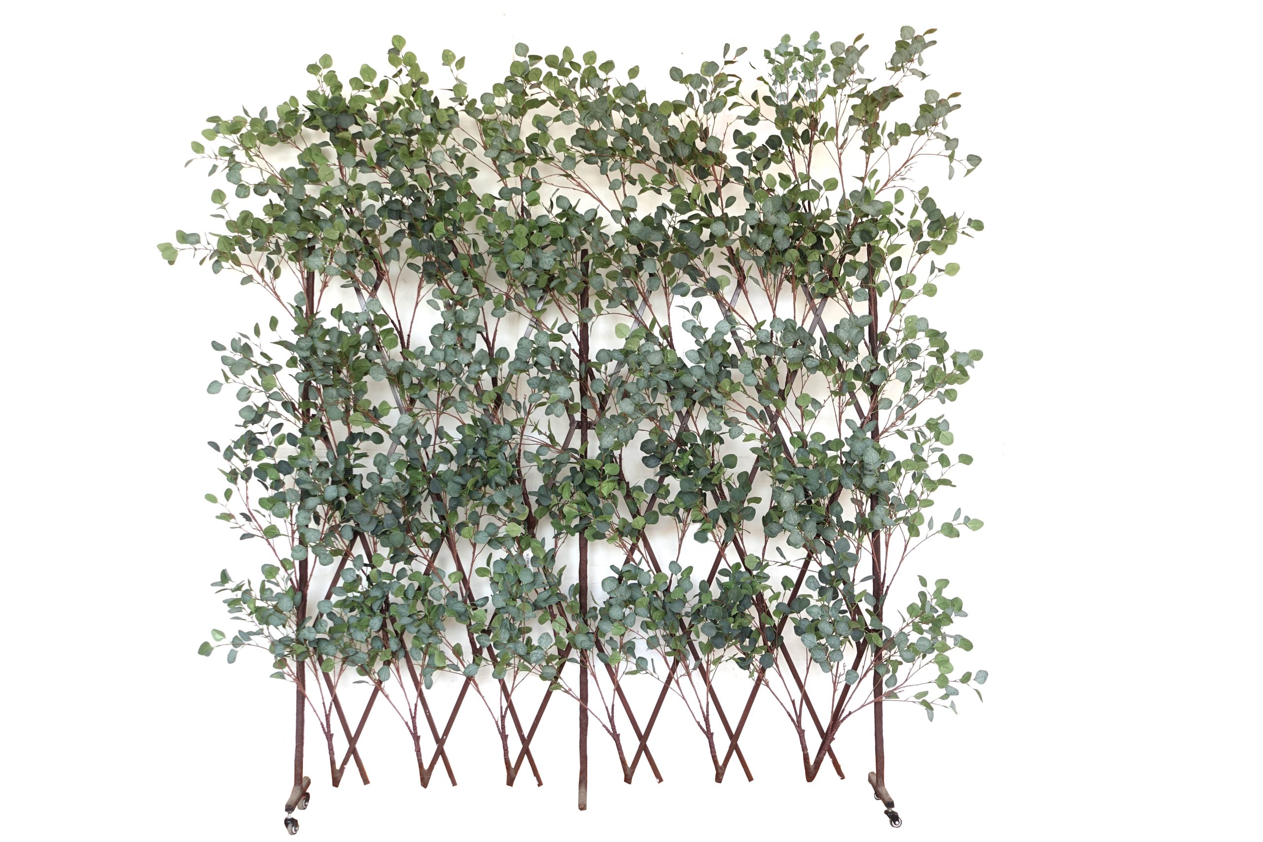Green Expanding Screen