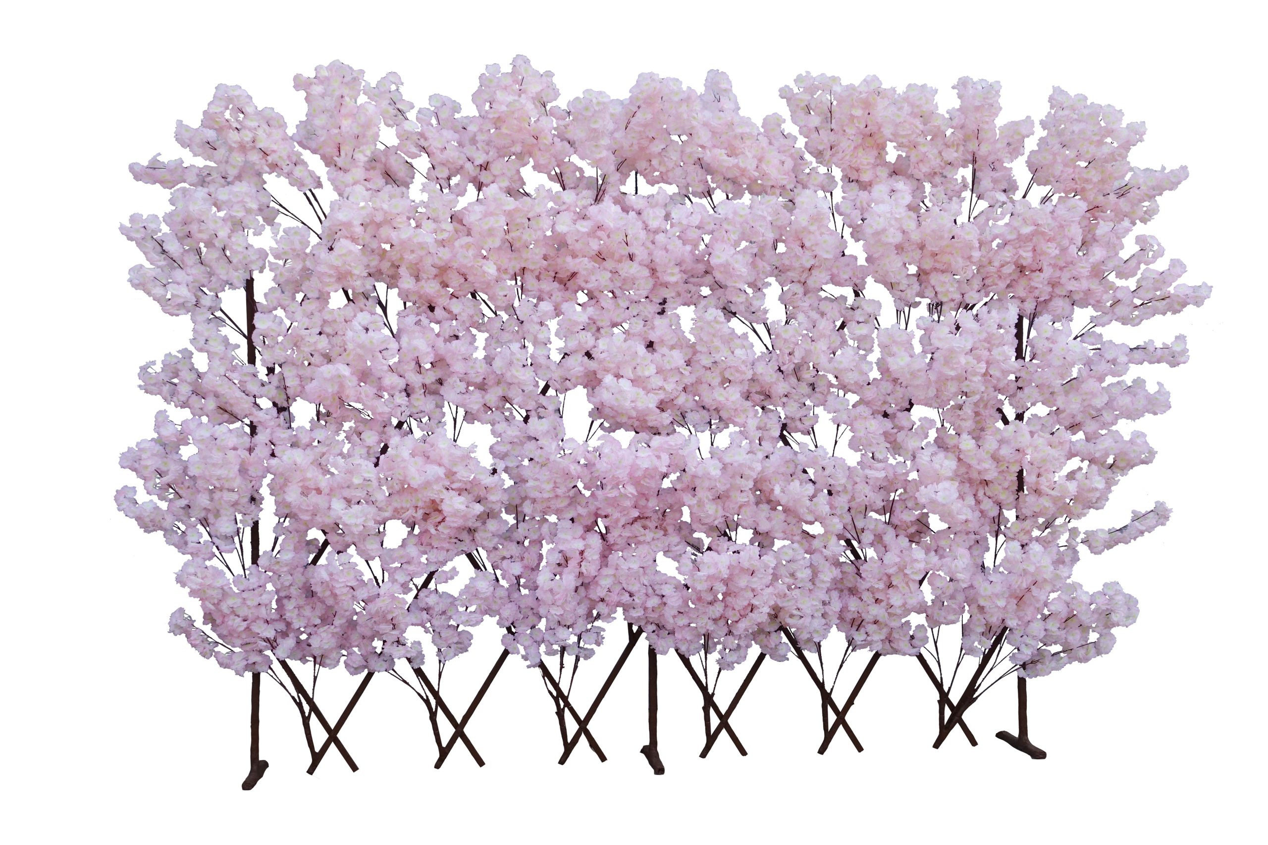 Cherry Blossom Expanding Screen