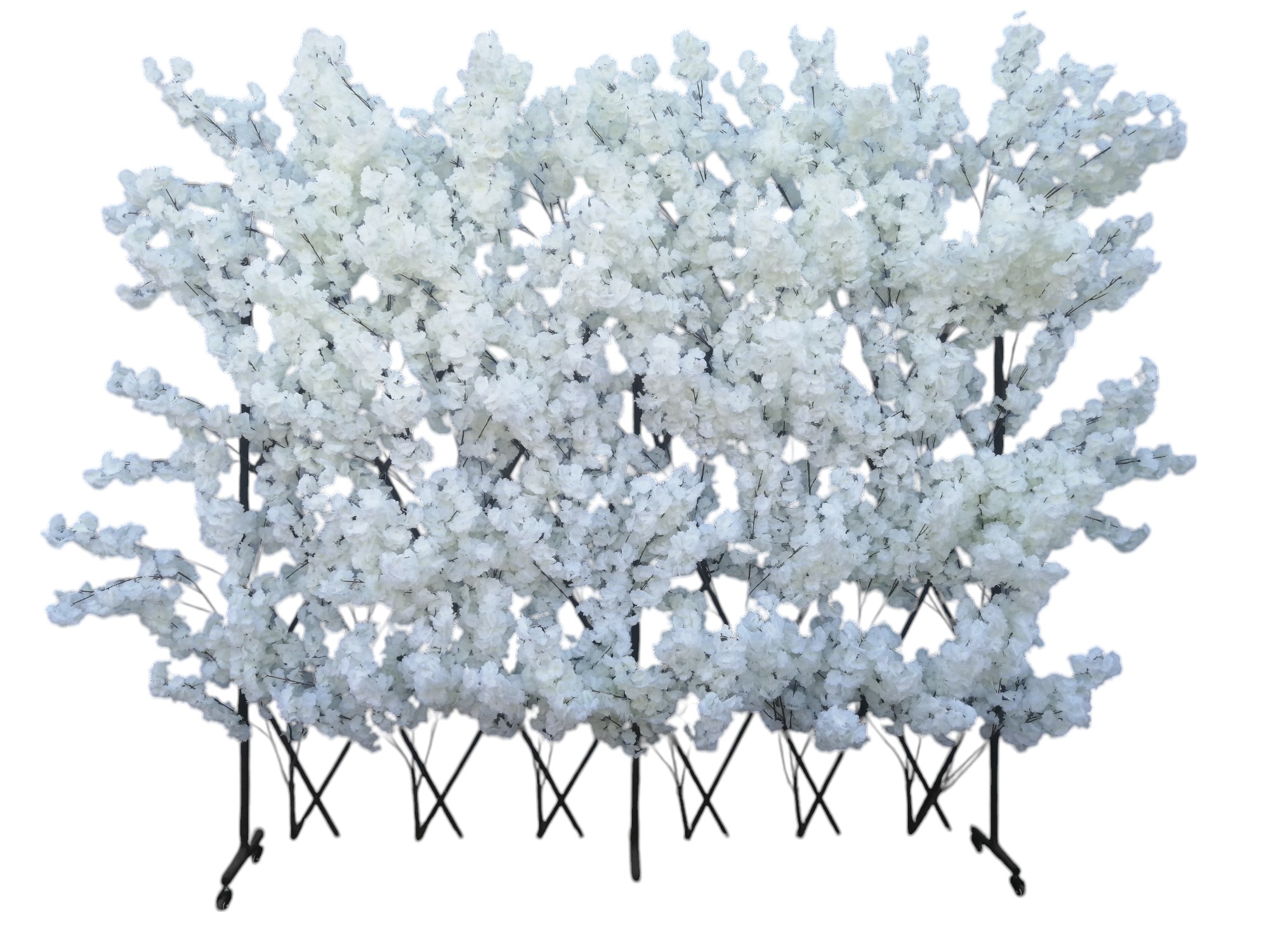 White Apple Blossom Expanding Screen