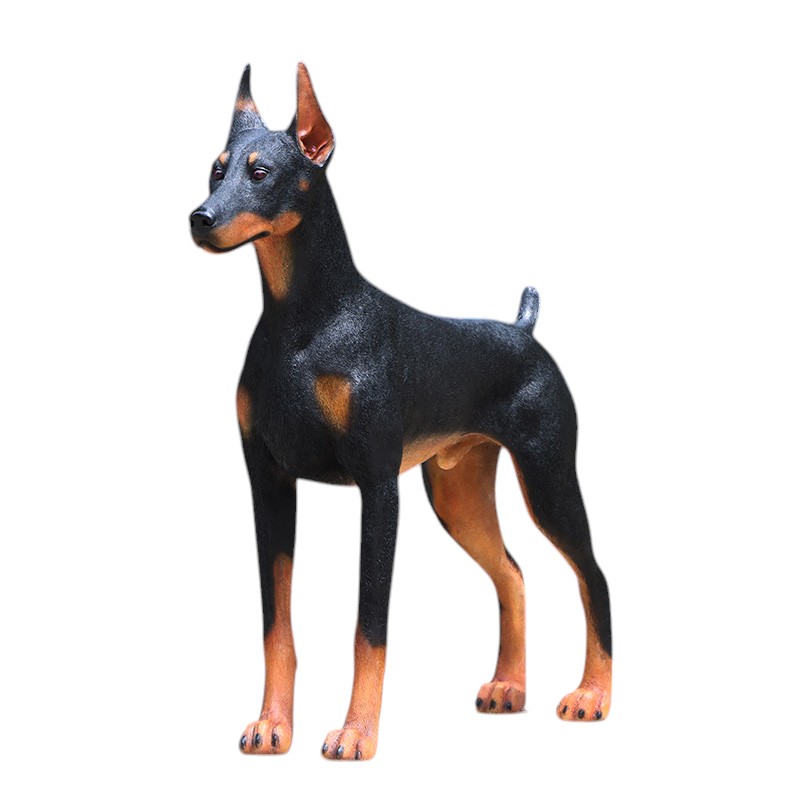Standing Doberman