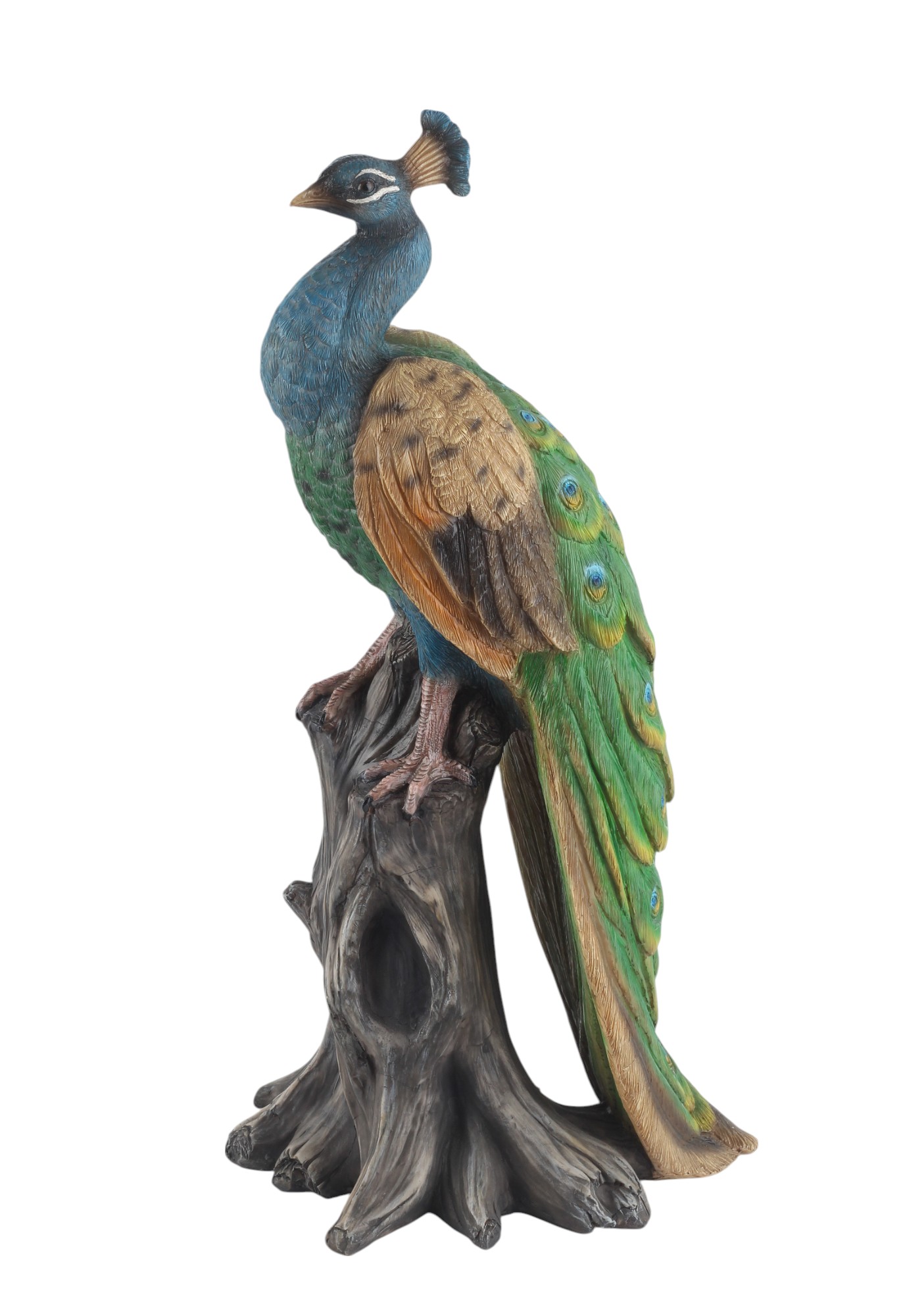 Standing Peacock