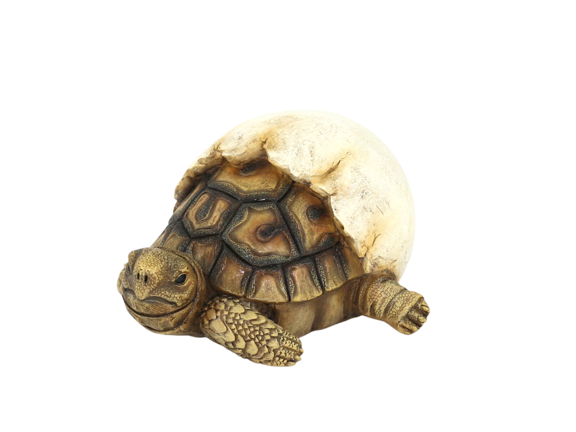 Hatching Turtle