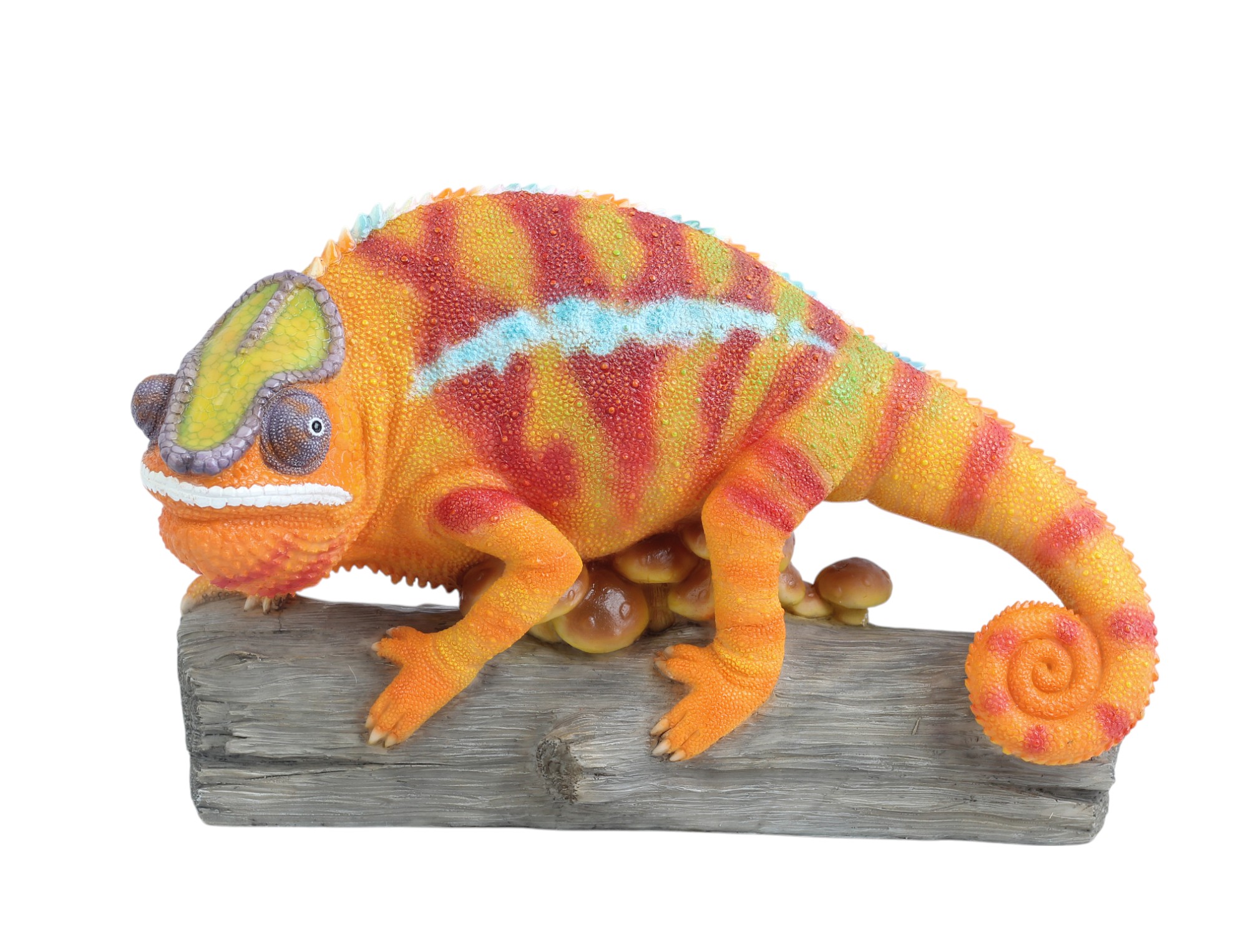 Colin the Chameleon