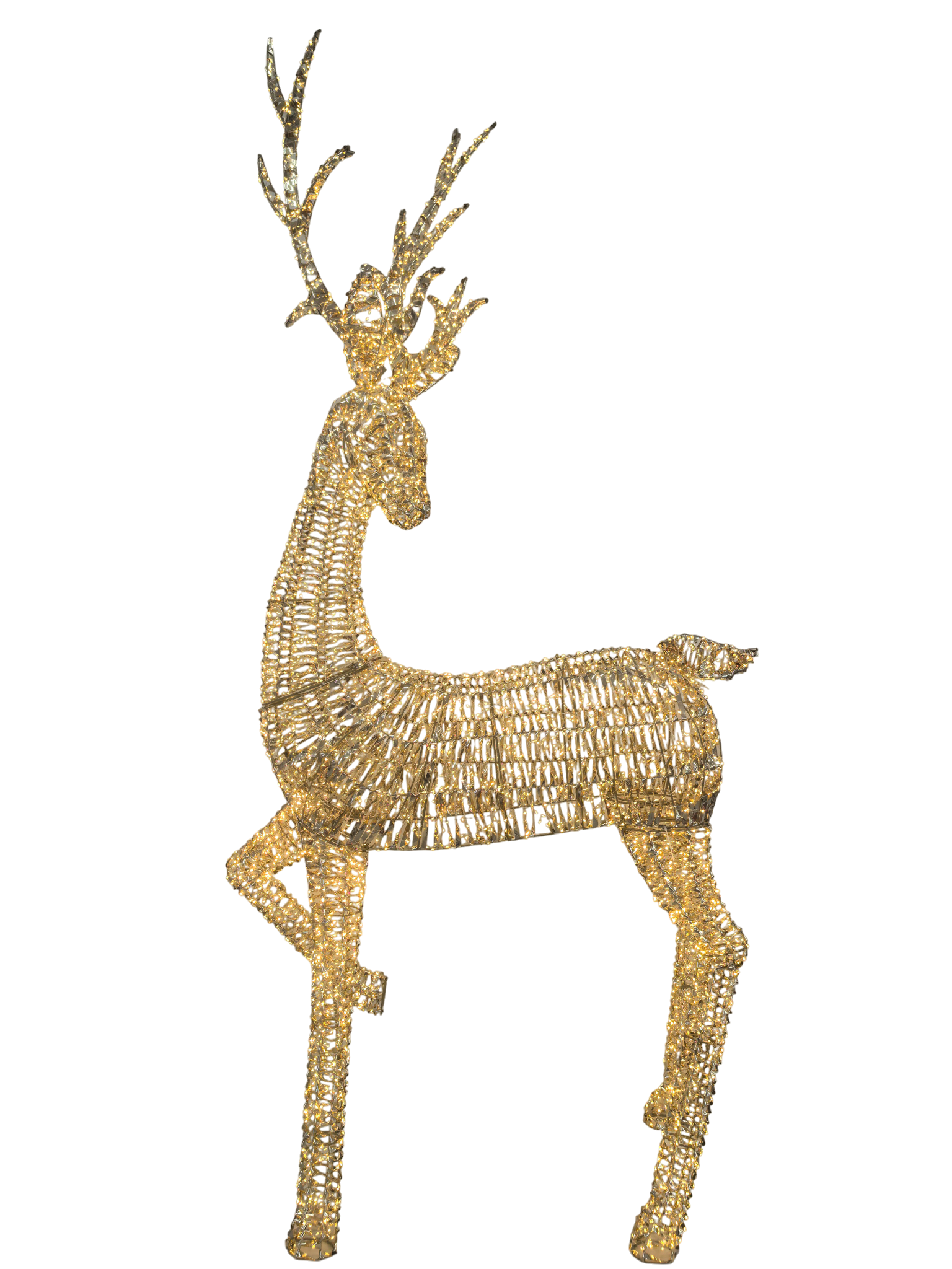 Reindeer (Gold) 2.3m