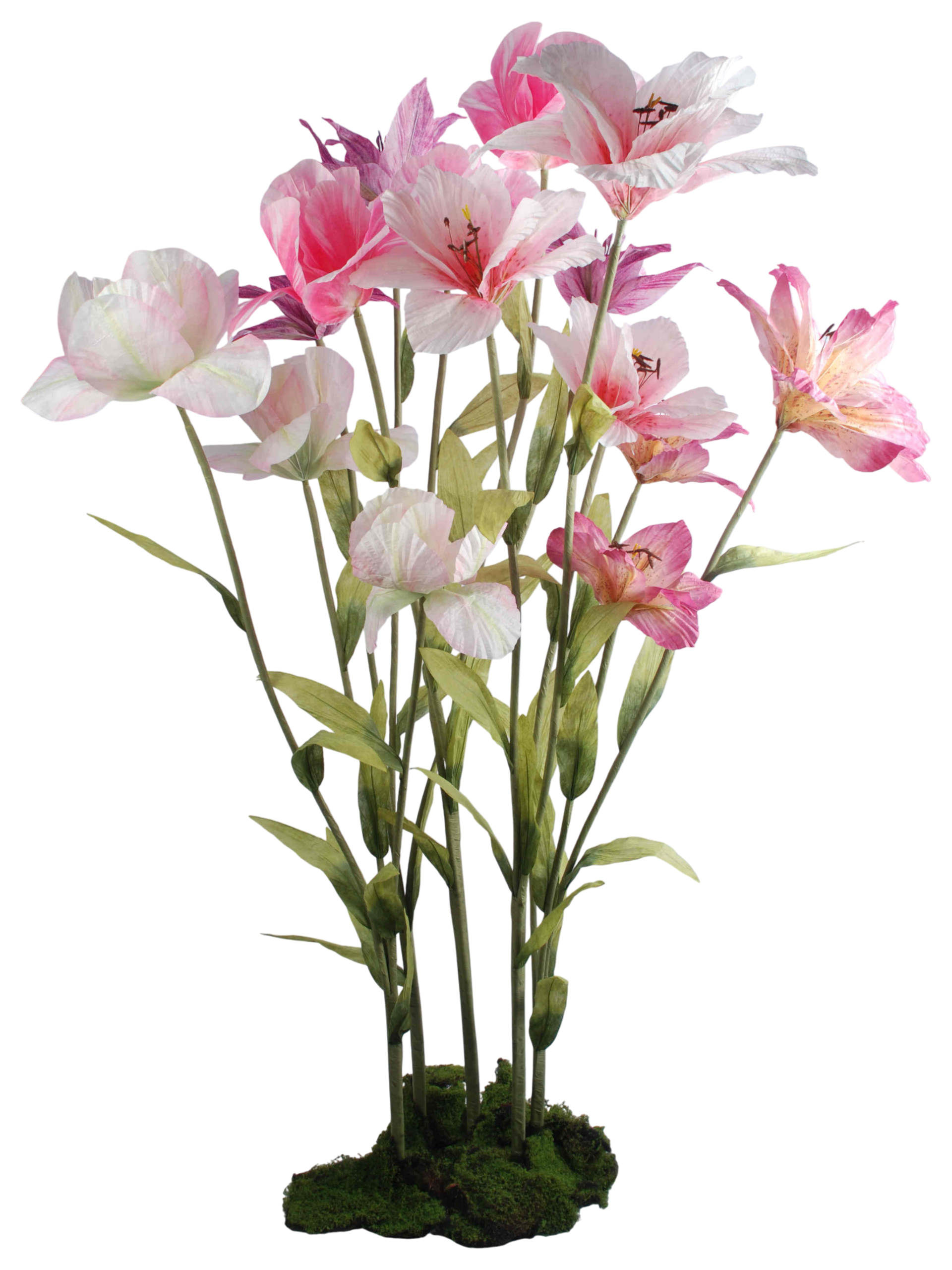 Pink Shades Collection A