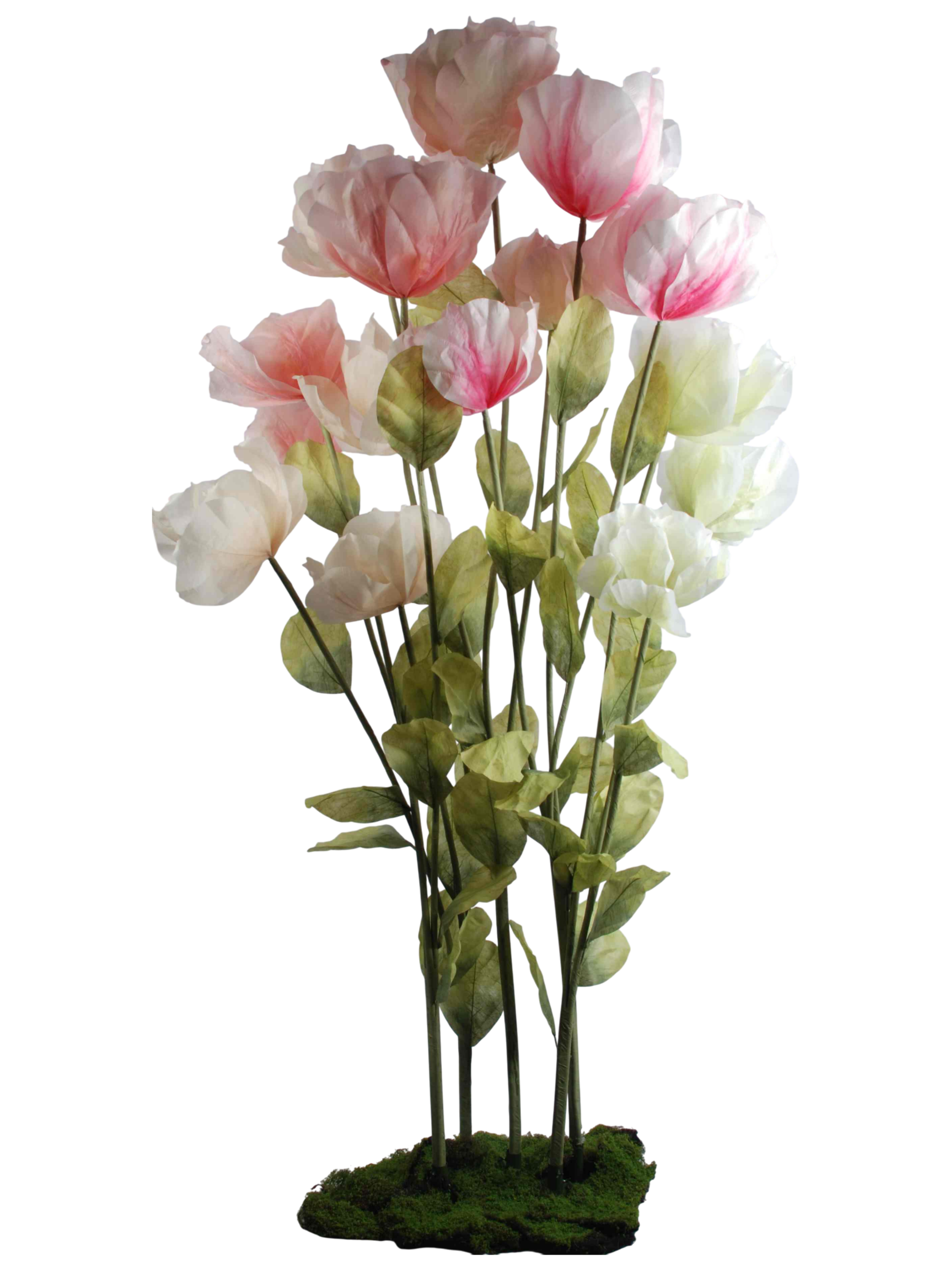 Pink Shades Collection B