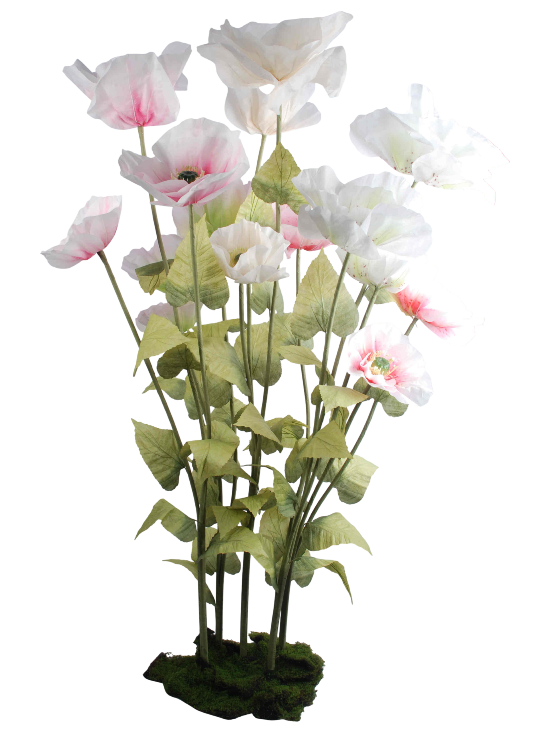 Pink Shades Collection C