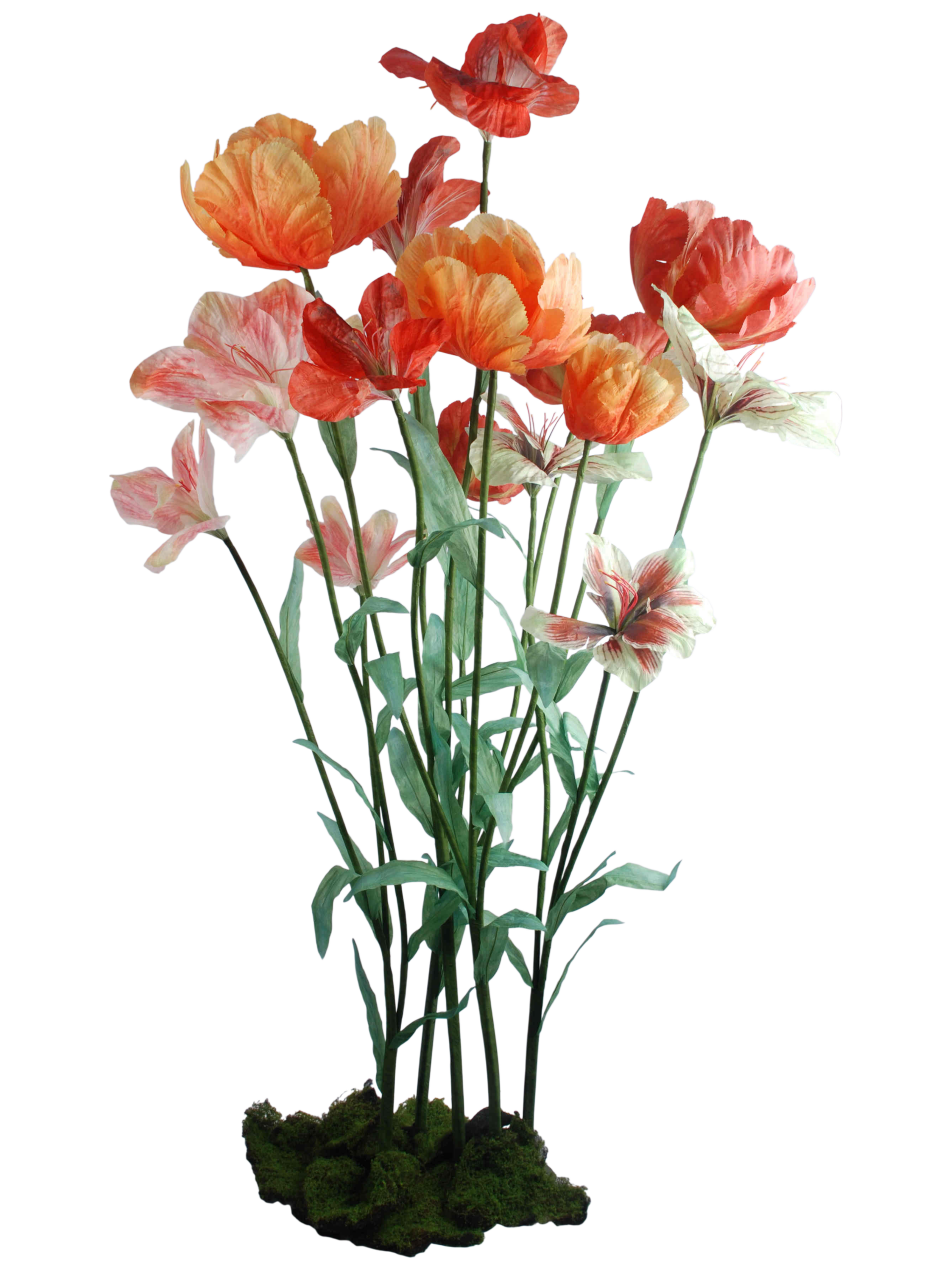 Orange Shades Collection A